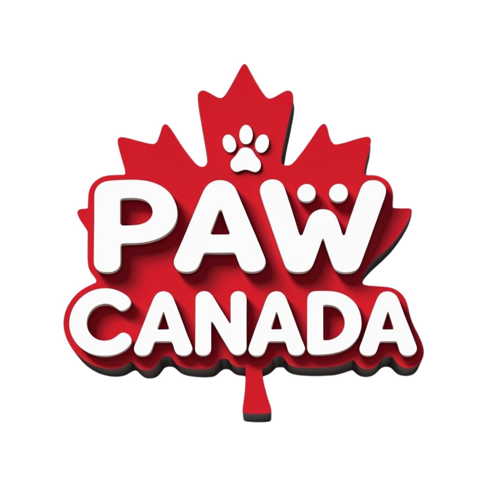 WhatsApp Image 2025-12-24 at 11.27.05 AM